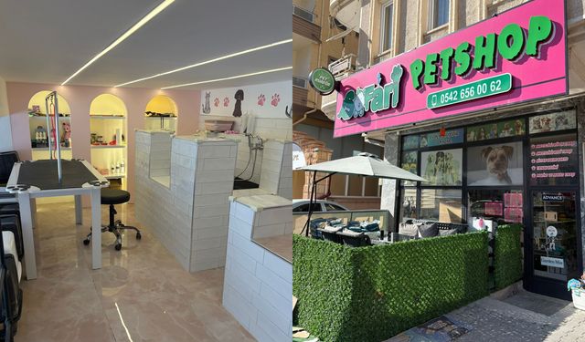 Nevşehir'de Safari Petshop Kuaför Hizmete Girdi