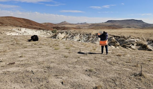 Nevşehir'de kaçan boğa 8 iğneyle yakalanabildi
