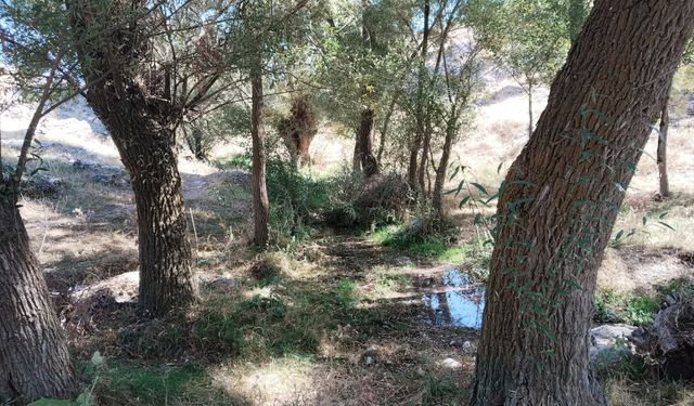 DSİ’den Kozaklı İmran Köyü’nde İnceleme