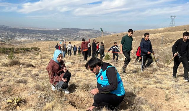 Ürgüp'te Topuz Dağı Yeşilleniyor...