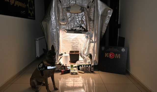 Nevşehir'de Test Sonuçlarına Rüşvetle Müdahale: 20 Gözaltı