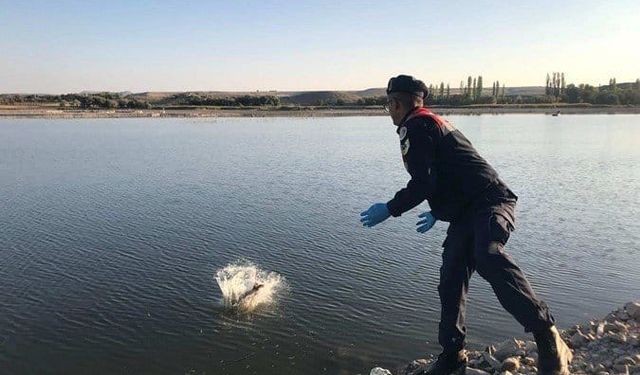 Gülşehir Kızılırmak’ta 1 Ton Balık Geri Bırakıldı