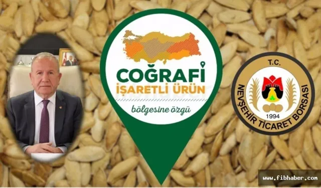 Nevşehir kabak çekirdeğinde Türkiye lideri