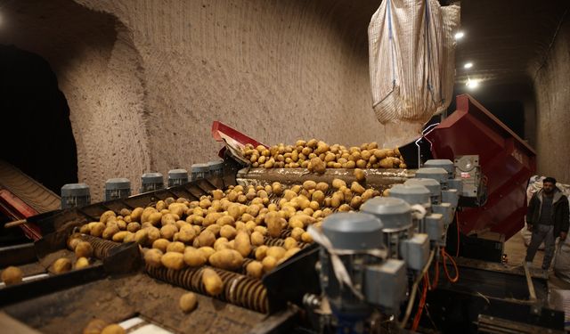 Türkiye’nin Patatesi Nevşehir’in Yeraltı Mağaralarında Korunuyor