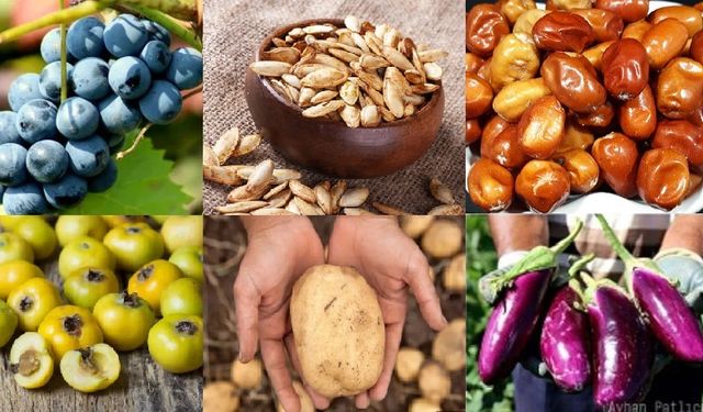 Nevşehir’de Hangi İlçede Hangi Ürün Yetişiyor?