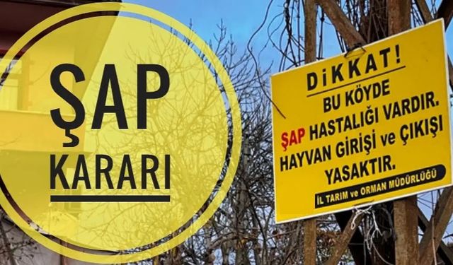 Nevşehir'de Şap hastalığı Tespit Edilen Köy Karantinaya Alındı
