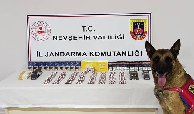 Nevşehir’de Jandarma’dan Zehir Tacirlerine Darbe