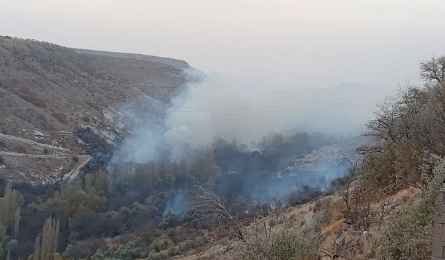 Demirtaş'ta bağ ve bahçeler alevlere teslim