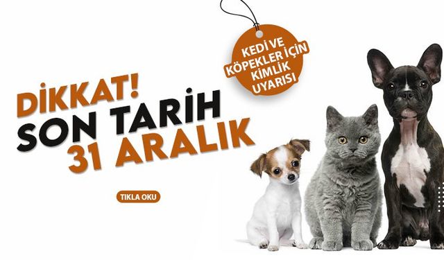 Nevşehir’de PETVET kayıtları 31 Aralık son