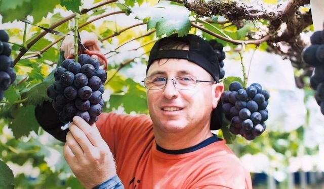 Nevşehir’in Bağlarından Japonya’nın Seralarına Başarı Hikâyesi