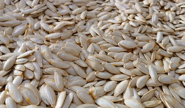 Dünyaca Ünlü Ürgüp Sivrisi TRT Belgesel’de Tanıtılıyor