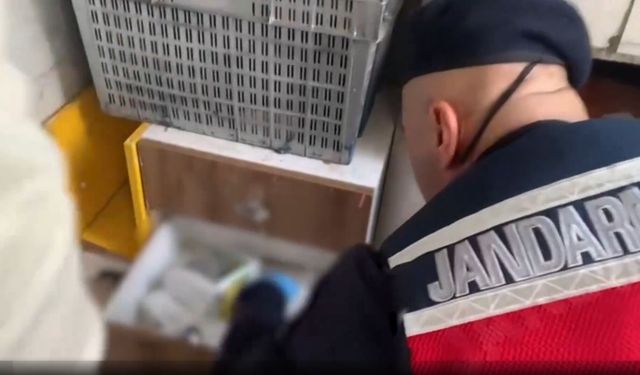 Nevşehir Dahil 63 İlde Zehir Tacirlerine Dev Operasyon