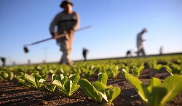 Nevşehirli Çiftçiye Destekli Kredi Müjdesi