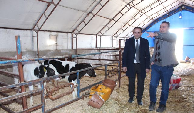 Tatlarin'de modern süt çiftliği ziyaret edildi