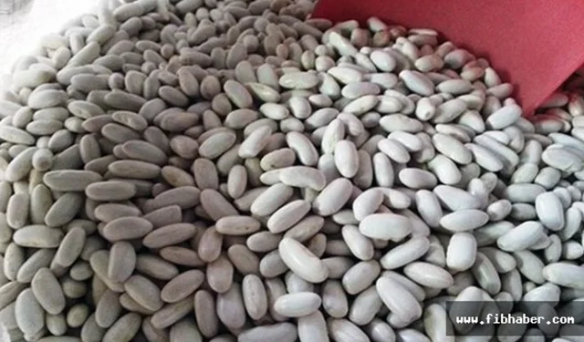 Nevşehir’de 2026 Yılı Kuru Fasulye Destekleri Açıklandı