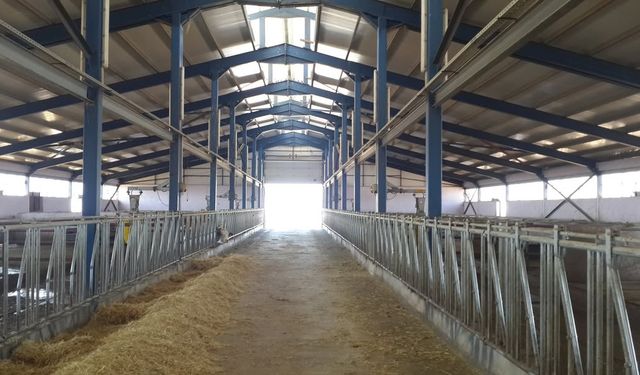 Hacıbektaş’a TKDK ile süt üretiminde yeni yatırım