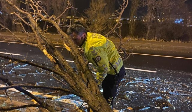 Nevşehir Avanos'ta Fırtına Ağaç Devirdi, Karayolu Trafiğe Kapandı