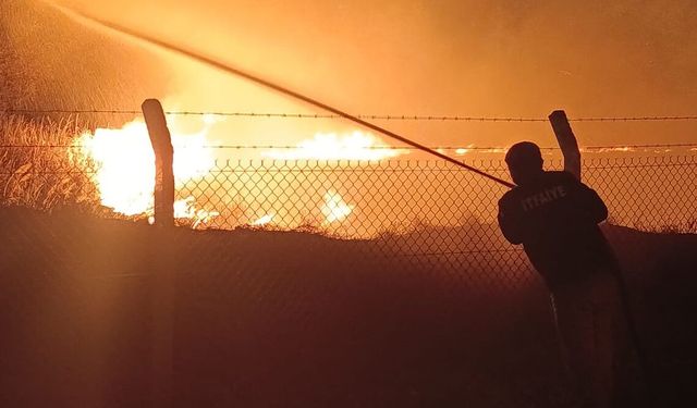 Gülşehir’de HES Barajı Sazlıklarında Yangın