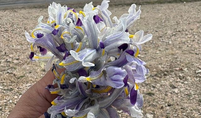 Görüntüler Nevşehir Yalıntaş köyünden
