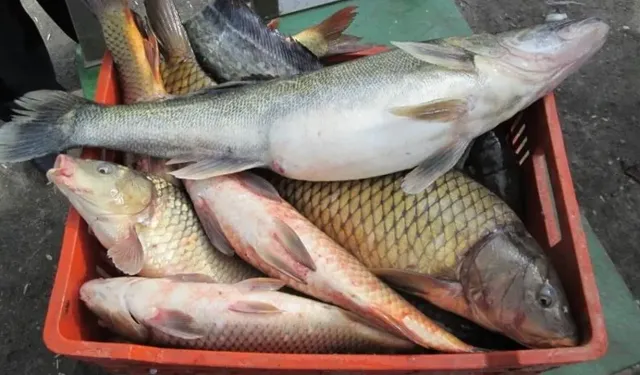 Nevşehir İç Sularda Av Yasağı Başladı