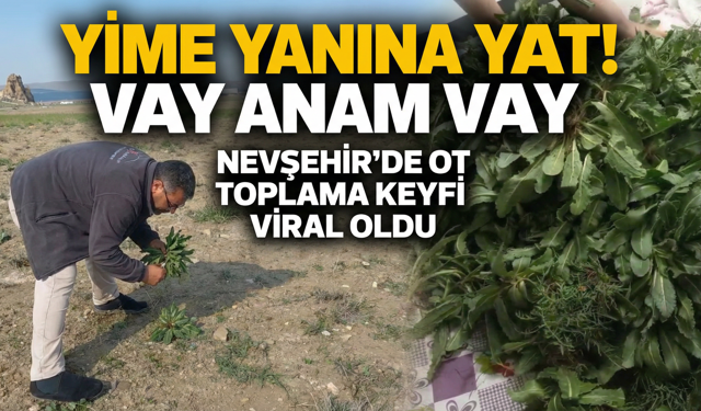 Nevşehirli Tır Şoförünün Ot Toplama Videosu Sosyal Medyayı Salladı