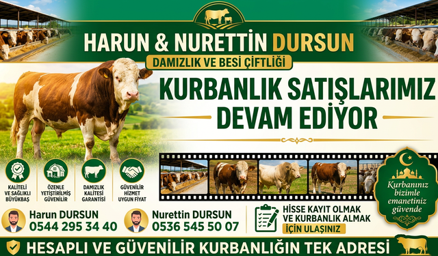 Nevşehir’de Harun & Nurettin Dursun Besi Çiftliği'nde Kurbanlık Satışları Devam Ediyor