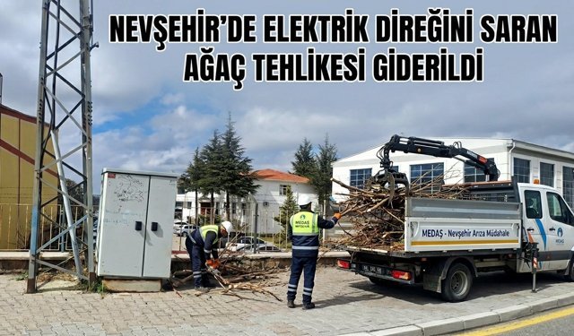 Elektrik Direğini Saran Ağaç Temizlendi