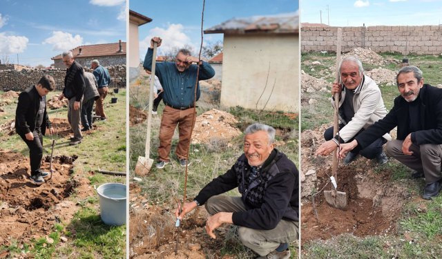 Nevşehir'in Akpınar Köyü’nde İmeceyle Meyve Fidanı Dikildi