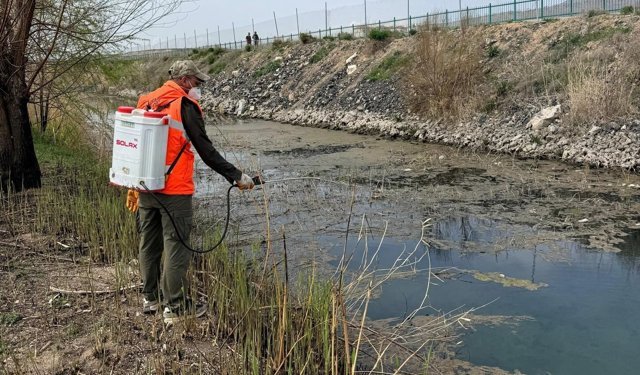 Sadabad Parkı’nda Biyolojik İlaçlama Yapıldı