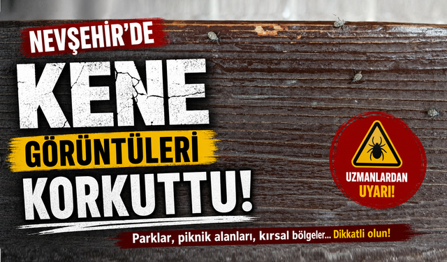 Nevşehir’de “Kene” Görüntüleri Korkuttu