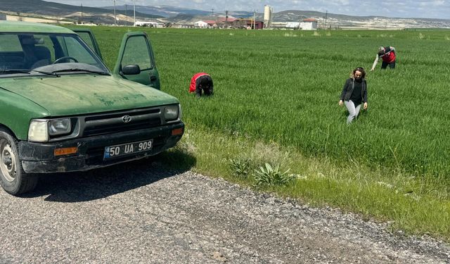Nevşehir’de Çiftçilere Mantari Hastalık Uyarısı
