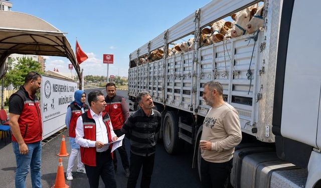 Nevşehir’de Hayvan Hareketlerine Sıkı Denetim