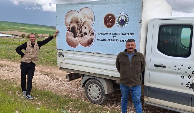 Nevşehir’de sahipsiz köpekler barınağa götürüldü