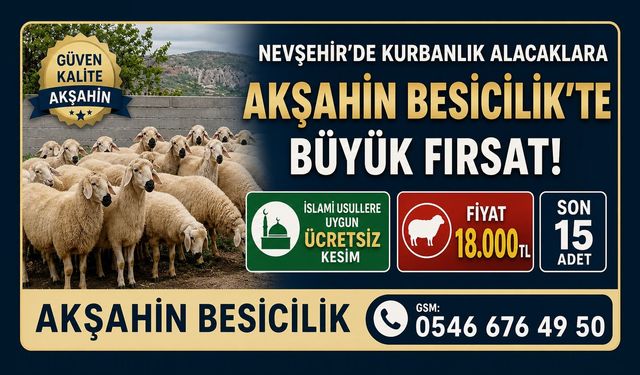 Nevşehir’de Kurbanlık Alacaklara Güvenilir Adres: Akşahin Besicilik