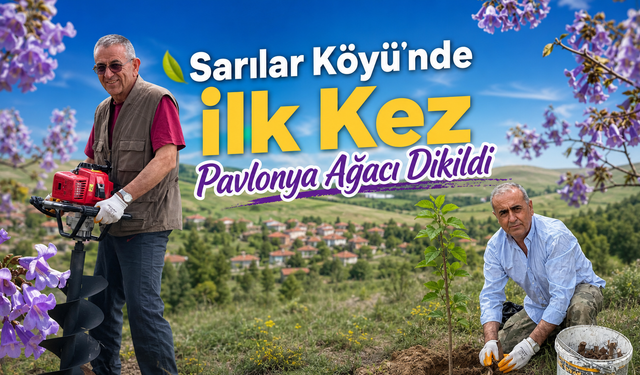 Sarılar Köyü’ne İlk Kez Pavlonya Ağacı Dikildi