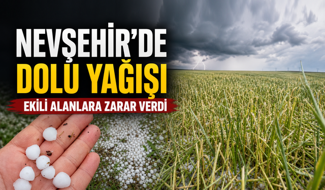 Çullar köyünde dolu ekili alanlara zarar verdi