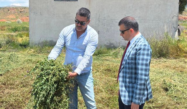 Avanos’ta Yonca Biçim Çalışmaları Başladı