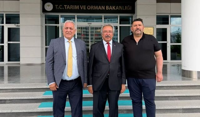 Bakan Yardımcısı Gizligider ile Avanos İçin İstişare