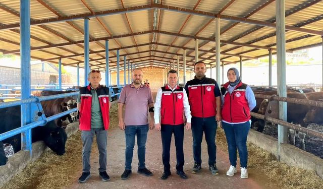 Nevşehir’de İthal Büyükbaş Hayvanlara Denetim