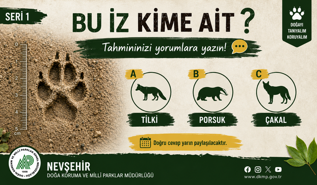 DKMP Nevşehir Doğa Tutkunlarına Sordu: "Bu İz Kime Ait?"