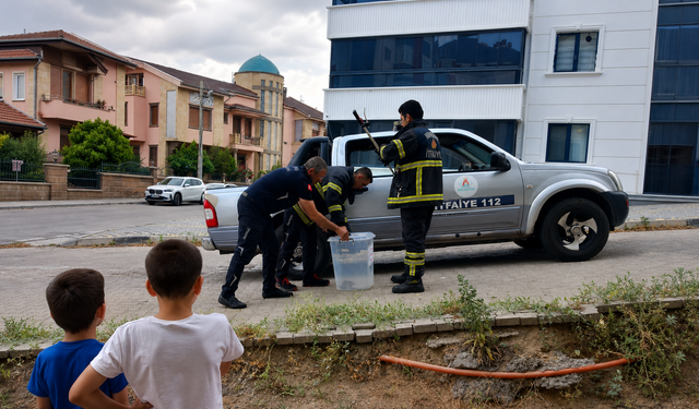 Nevşehir'de çocukların oyun alanında yılan paniği