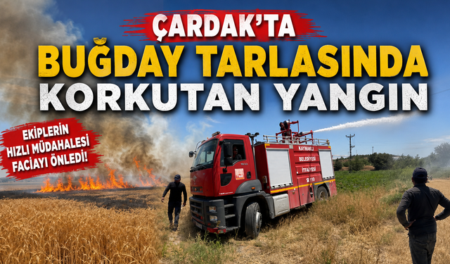 Çardak Köyü'nde Buğday Tarlasında Yangın