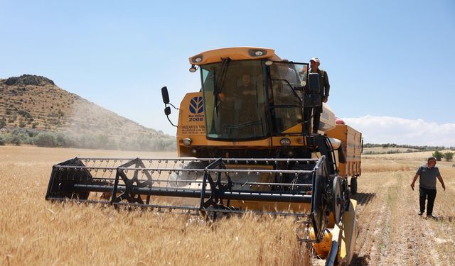 Başkan Arı Hasat Sevincine Ortak Oldu
