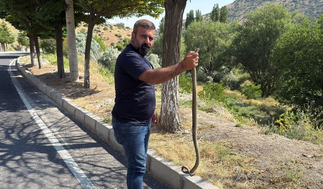 Göre'de Korkutan Misafir: Yılan Eve Girdi