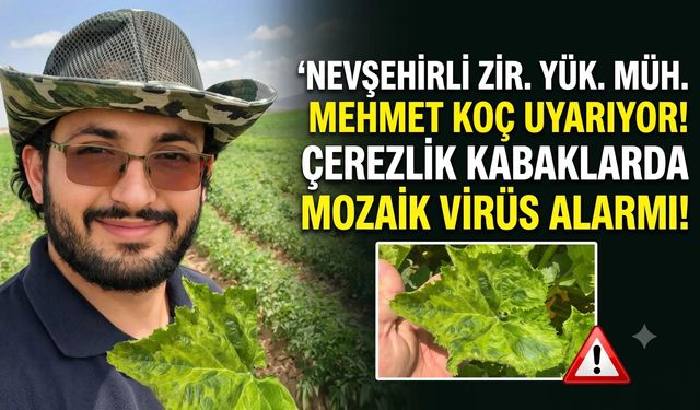 Nevşehirli çerezlik kabak üreticilerine uyarı