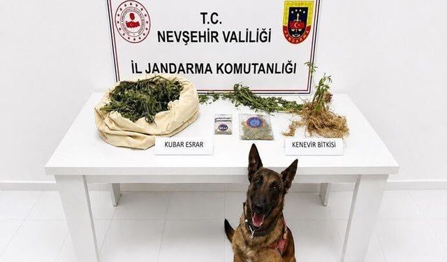 Nevşehir’de Narkotik Operasyonu: Esrar ve Kenevir Ele Geçirildi