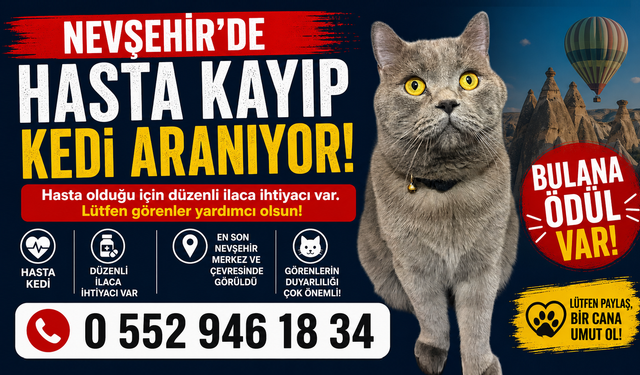 Nevşehir’de hasta kayıp kedi aranıyor!