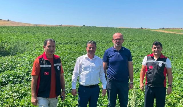 Patatesin başkenti Nevşehir’de Bakanlık mesaisi