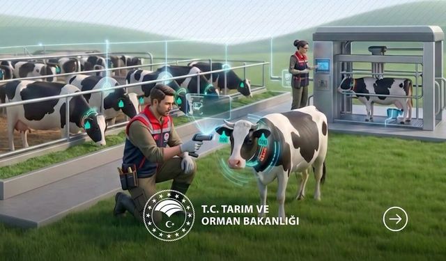 Nevşehir’de Akıllı Küpe Dönemi: Hayvancılık Dijitalleşiyor