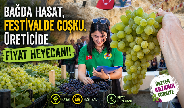 Ürgüp’te bağlarda hasat üreticide fiyat heyecanı